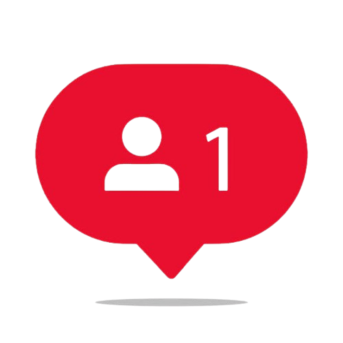 500 • Seguidores Brasileiros